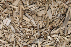 biomass boilers Scorriton